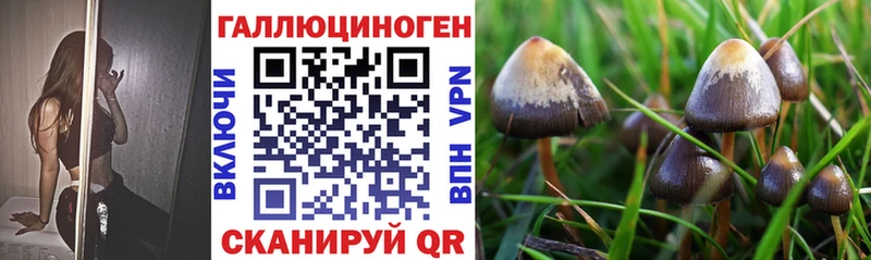 Галлюциногенные грибы прущие грибы  где найти наркотики  Кизляр 